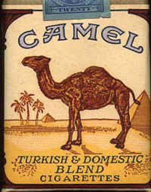 camel.jpg