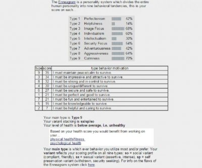 Enneagram results blow up.jpg