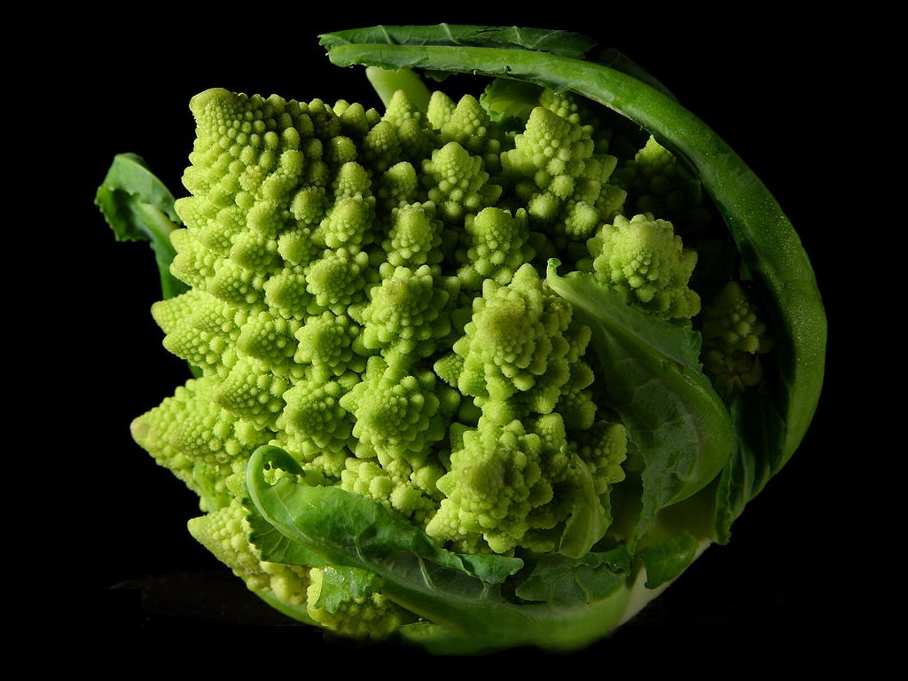 Fractal_Broccoli.jpg