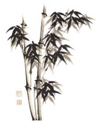 bamboo-calligraphy.jpg