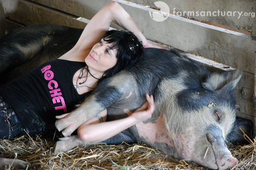 joanjett_pig.jpg