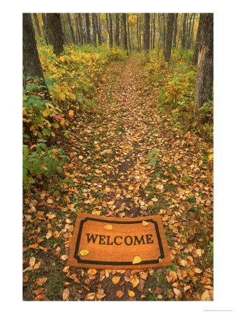 542680~Welcome-mat-on-forest-trail-Posters.jpg