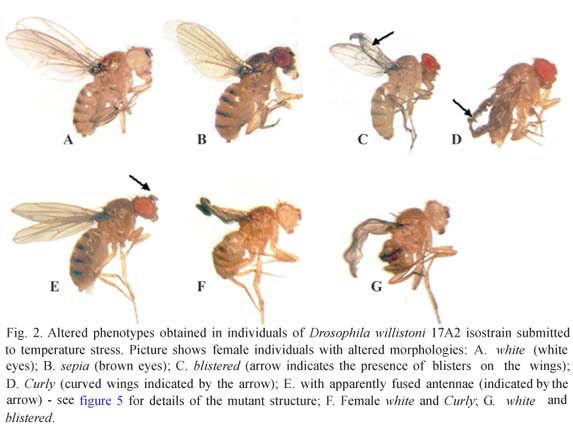 a09fig02.jpg