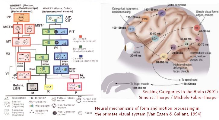 tammet_deep-learning-brain.jpg