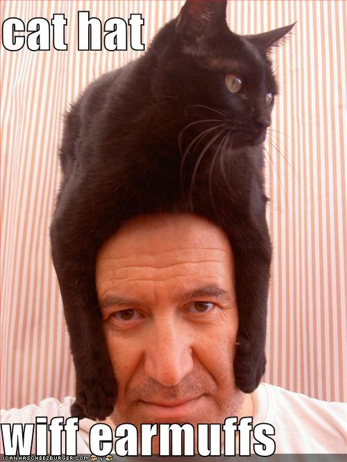 funny-pictures-cat-hat-head.jpg
