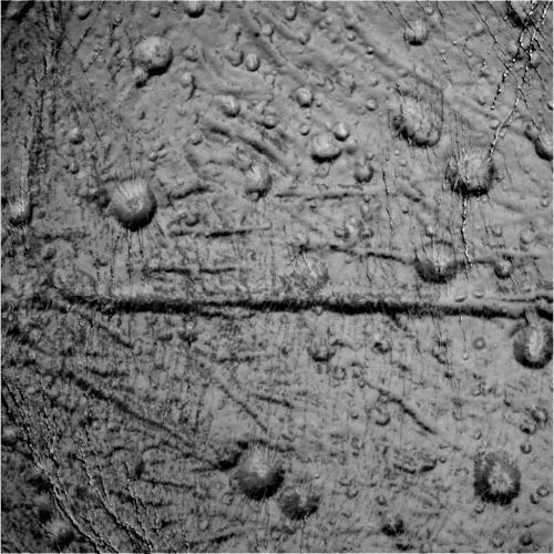 enceladus-1.jpg