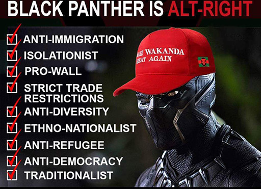 Image result for black panther anti-democracy
