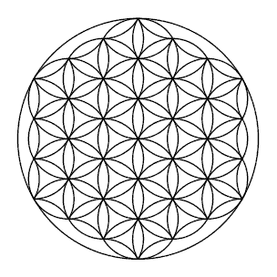 flower_of_life.png