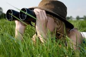 binocular%20image.jpg