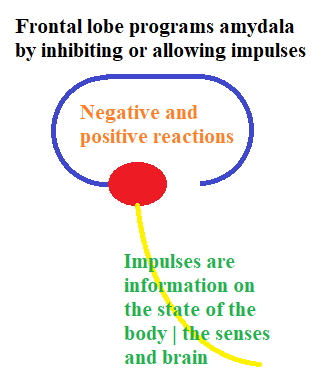 The INTJ Balance: Logic, Emotion, And Personal Growth