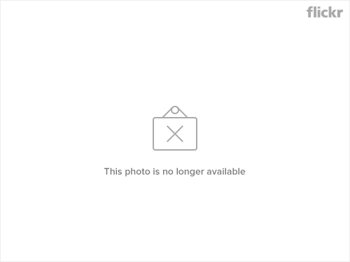 5628454817_5d30d90b88_z.jpg