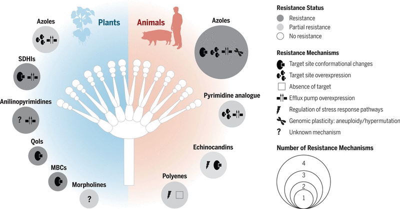 science.sciencemag.org
