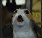 8rfYhzs.png