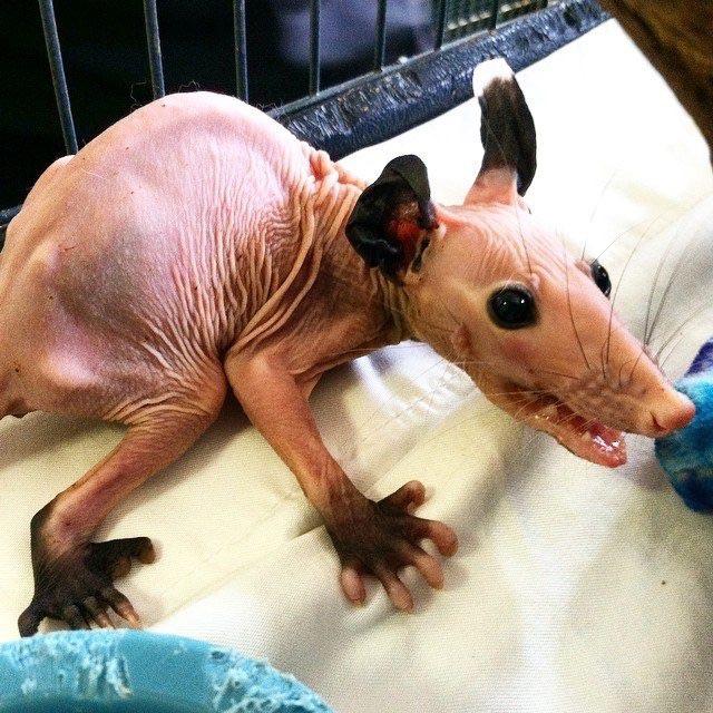 dzxkvqxym5f21.jpg