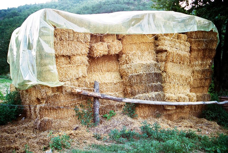 800px-Pile-of-straw.jpg