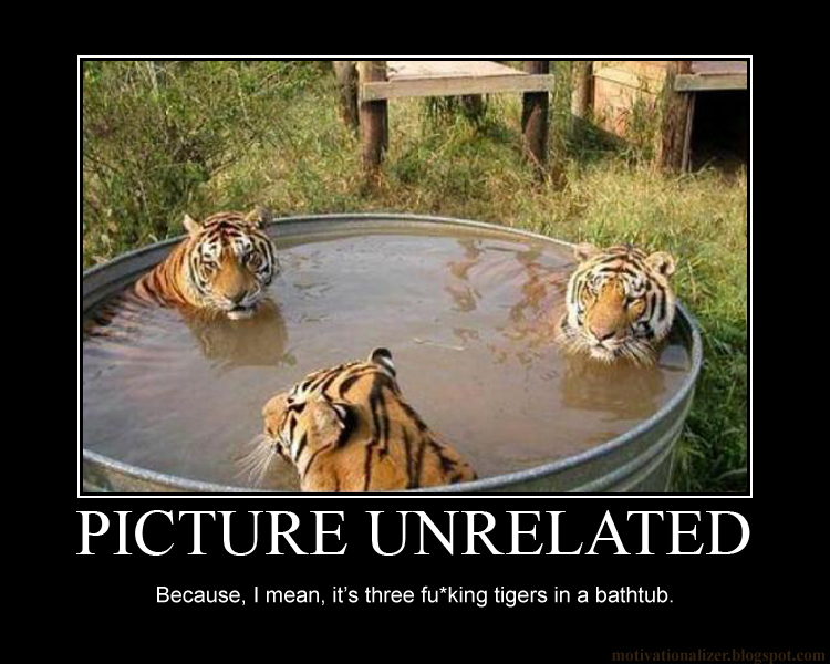 tigers+in+a+bathtub+motivational+poster.jpg